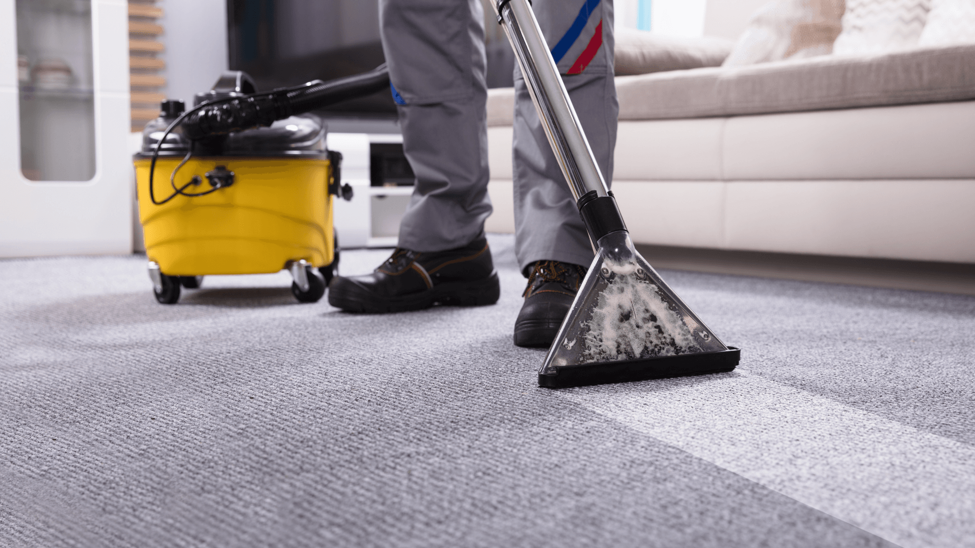 Everything You Need to Know about Carpet Cleaning