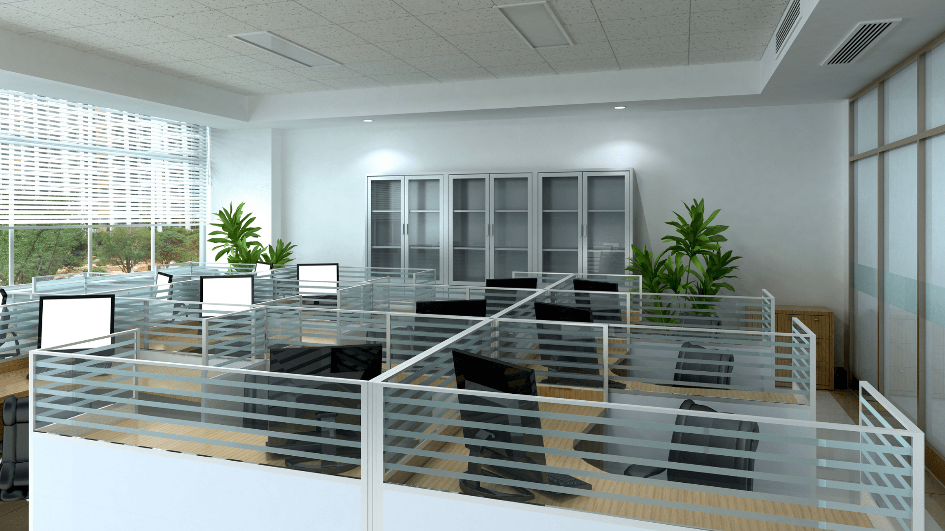Office Cleaning after Renovation