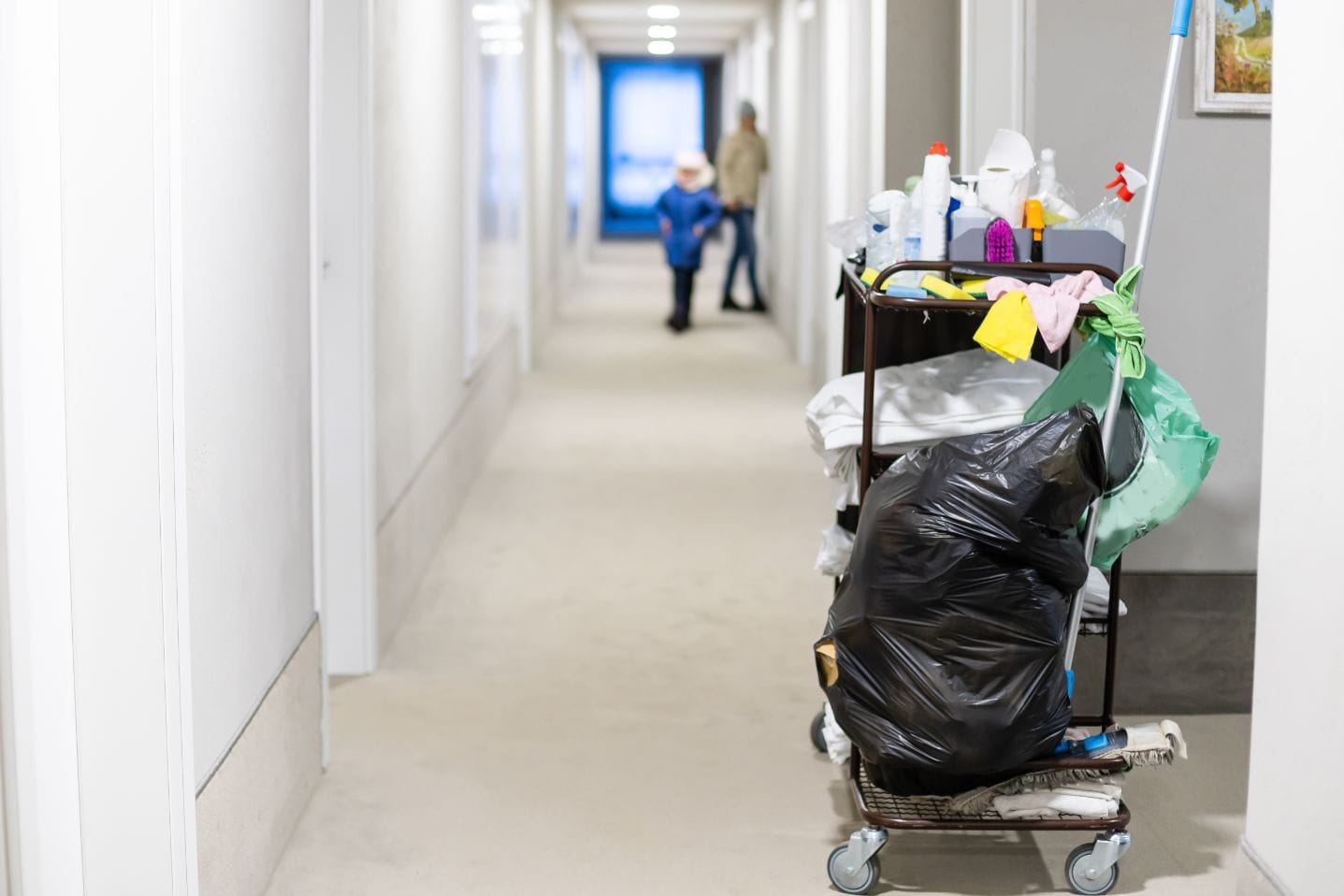 ניקיון מוסדות ממשלתיים